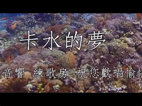 他水的夢